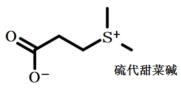 硫代甜菜碱的结构式
